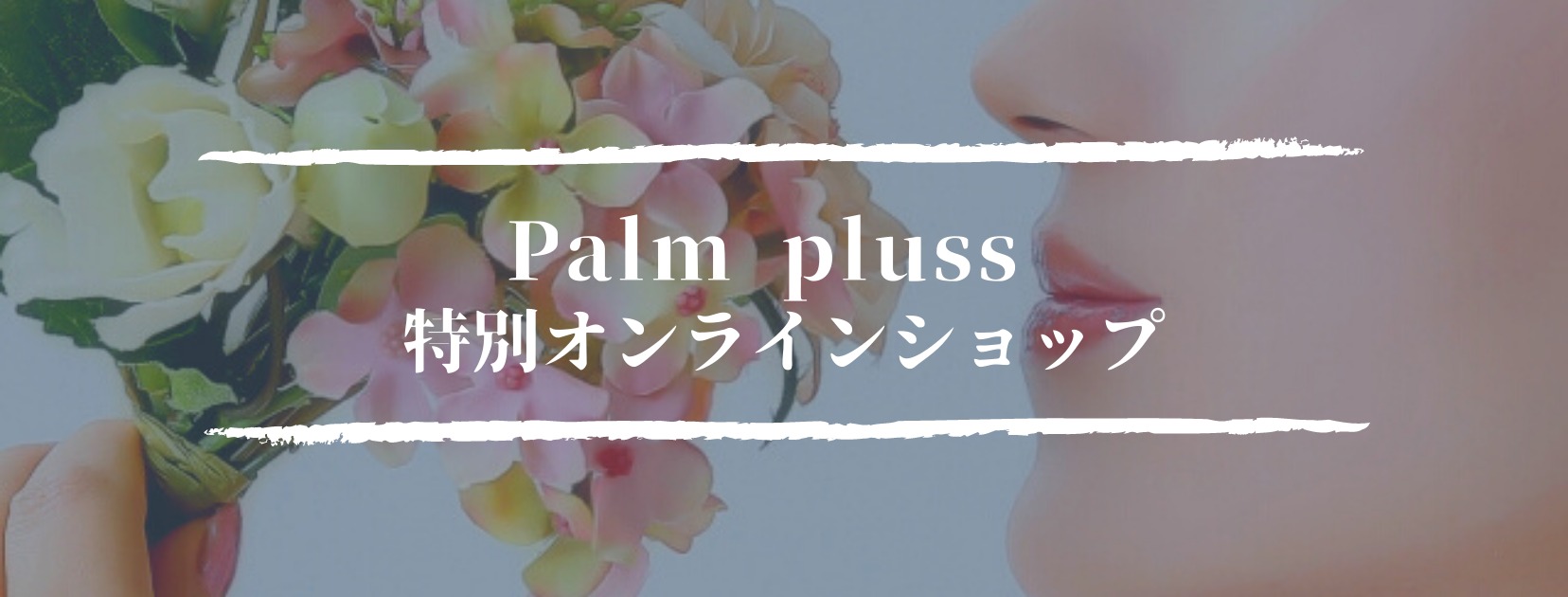palmpluss