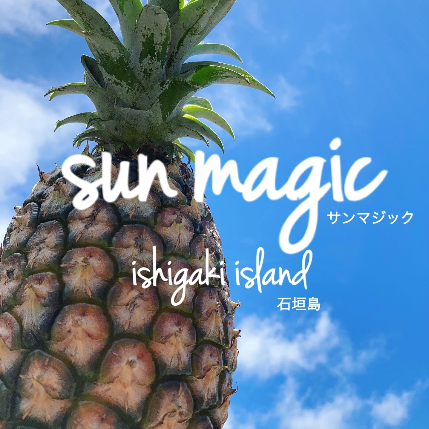 パイナップル農園SUNMAGIC(サンマジック石垣島)