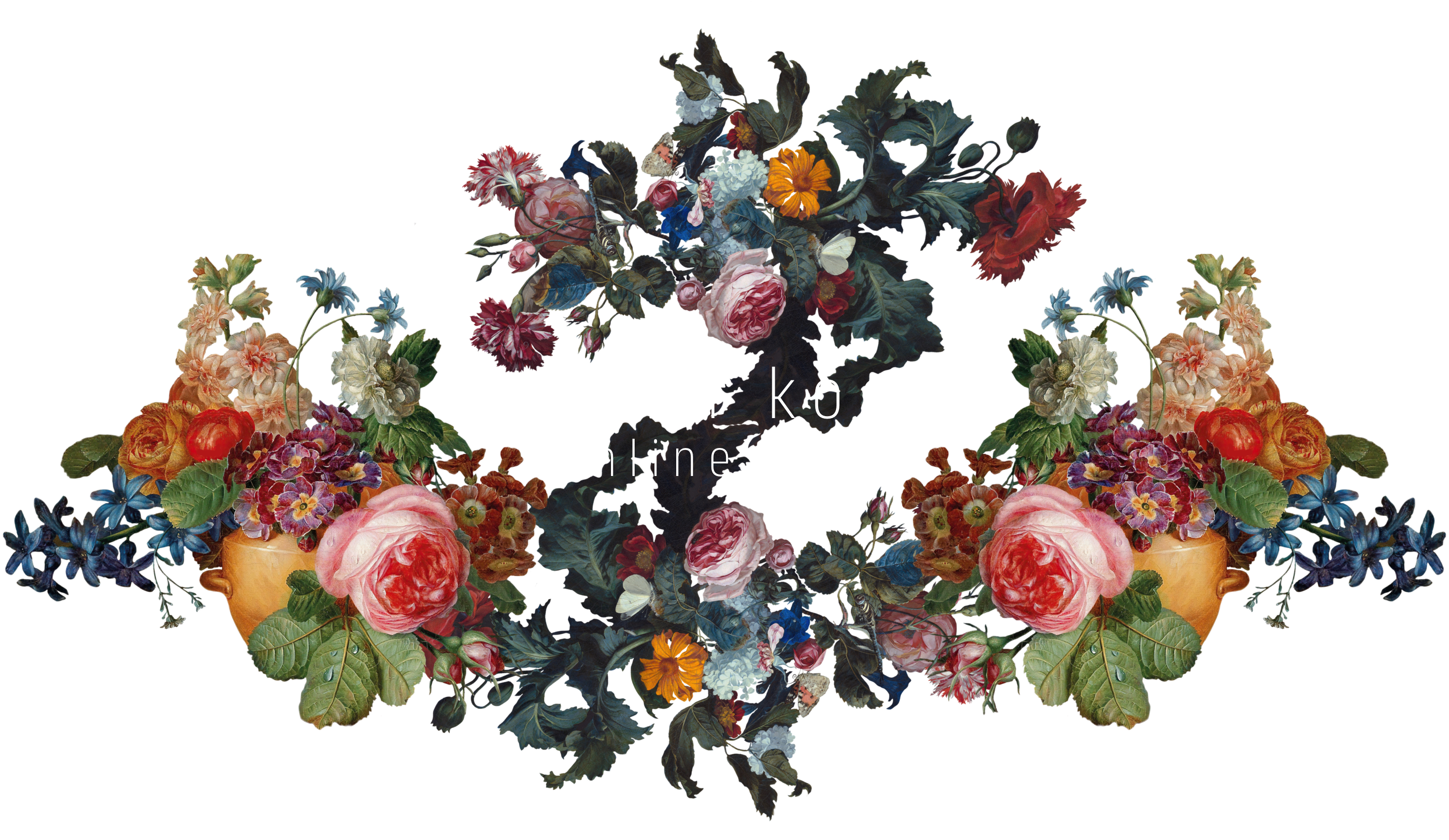 kazuki kocha online