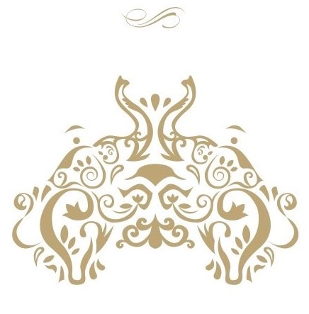 cosmetics  アイズ