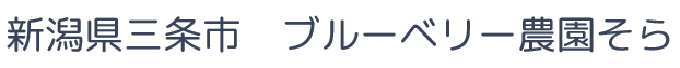 新潟県三条市　ブルーベリー農園そら