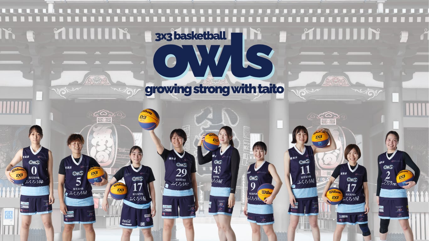 TAITO OWLS.EXE（アウルズ）