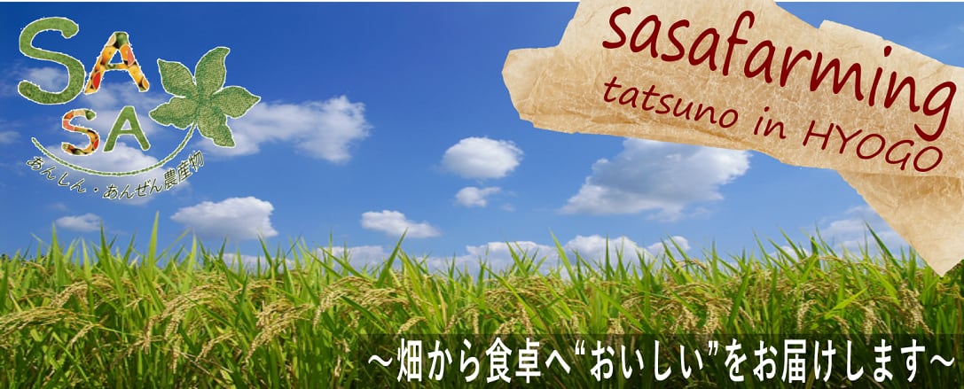 兵庫県産バジル・米・加工品のお取り寄せ　ささ営農