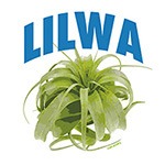 Plants and Healing shop LILWA