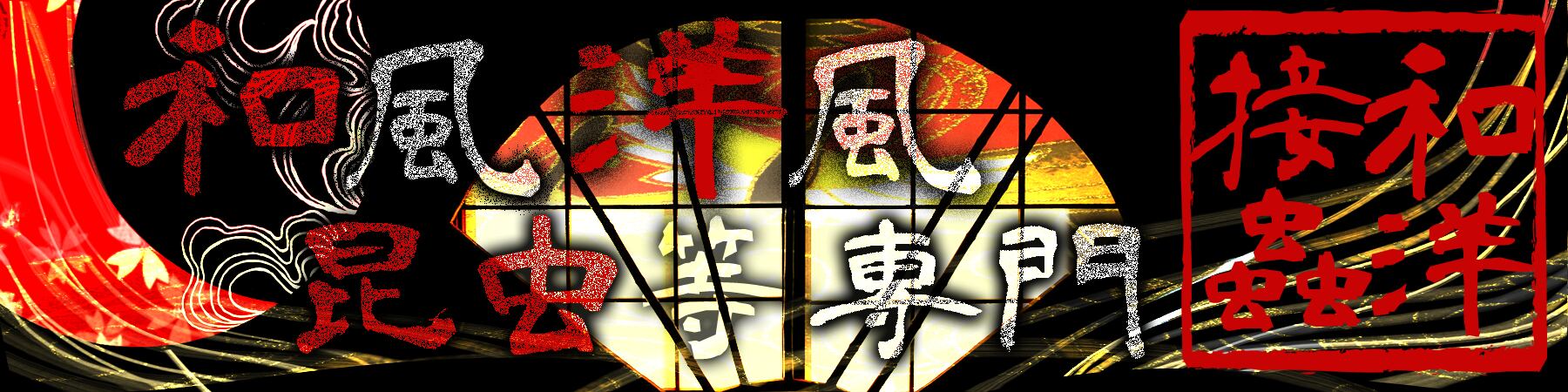 和洋接蟲