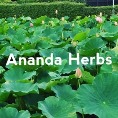 Ananda Herbs