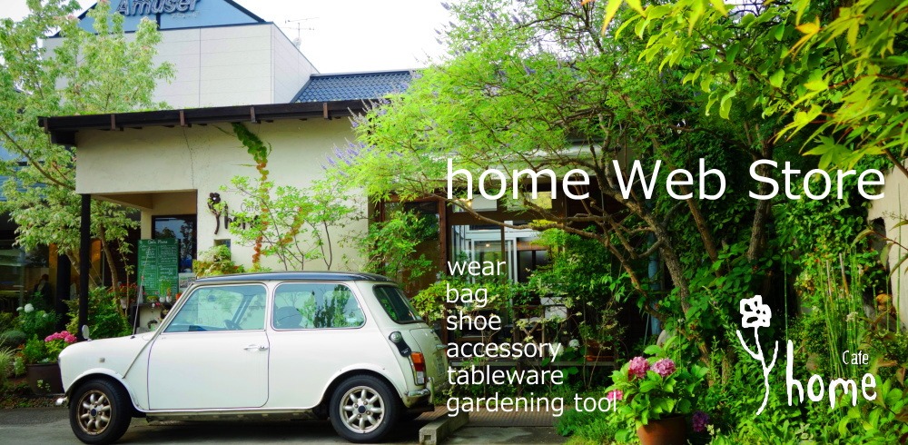 home web store