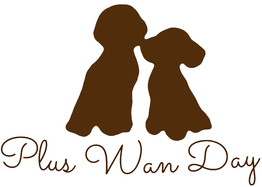 Plus Wan Day