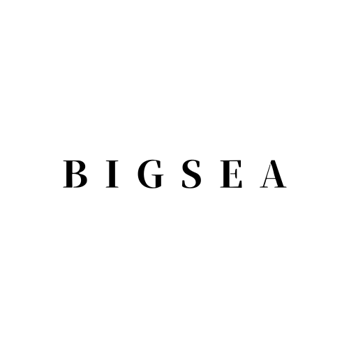 BIGSEA gallery
