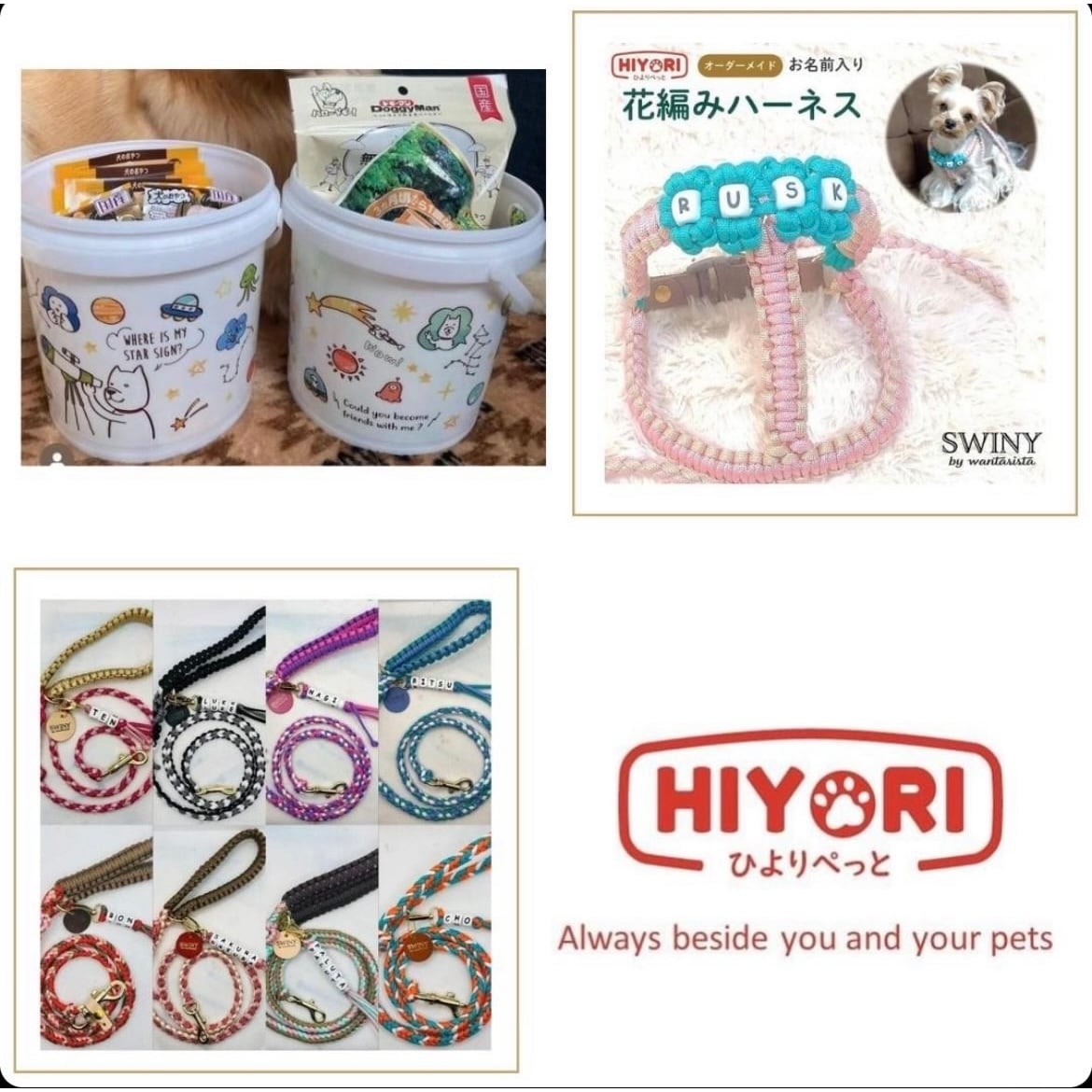 hiyori2024