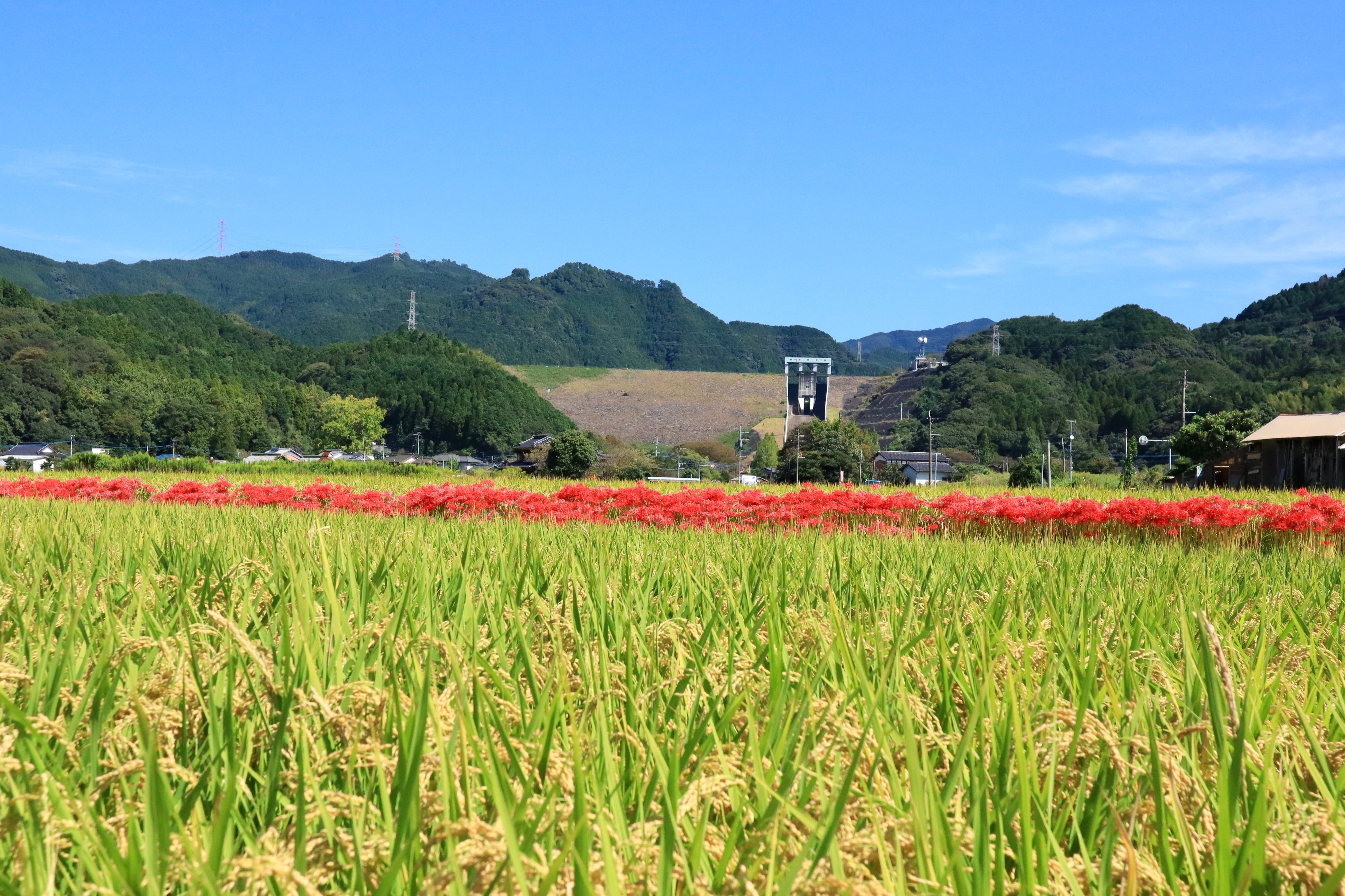 朝倉市3ダム愛好家・三ちゃん