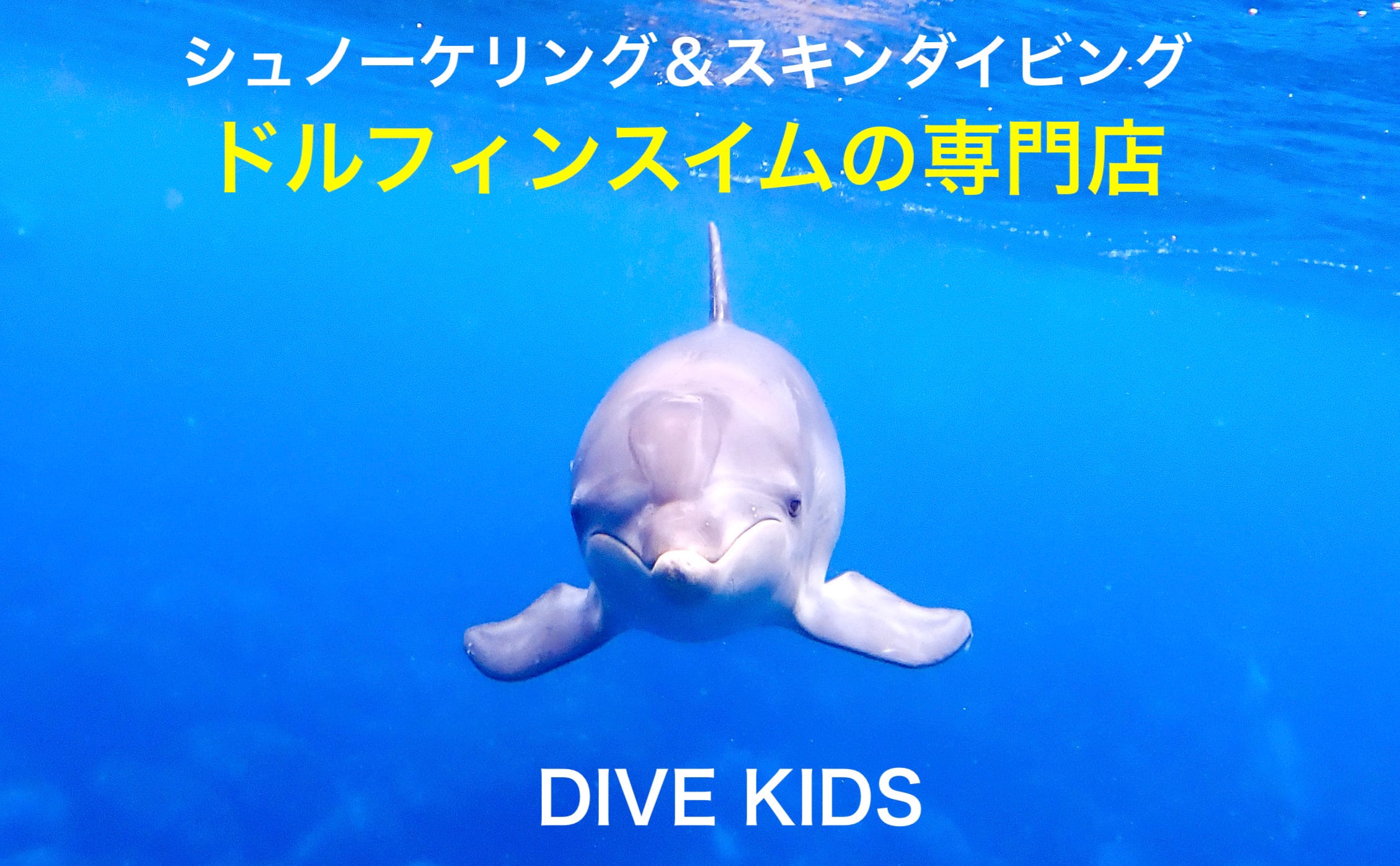 DIVE KIDS