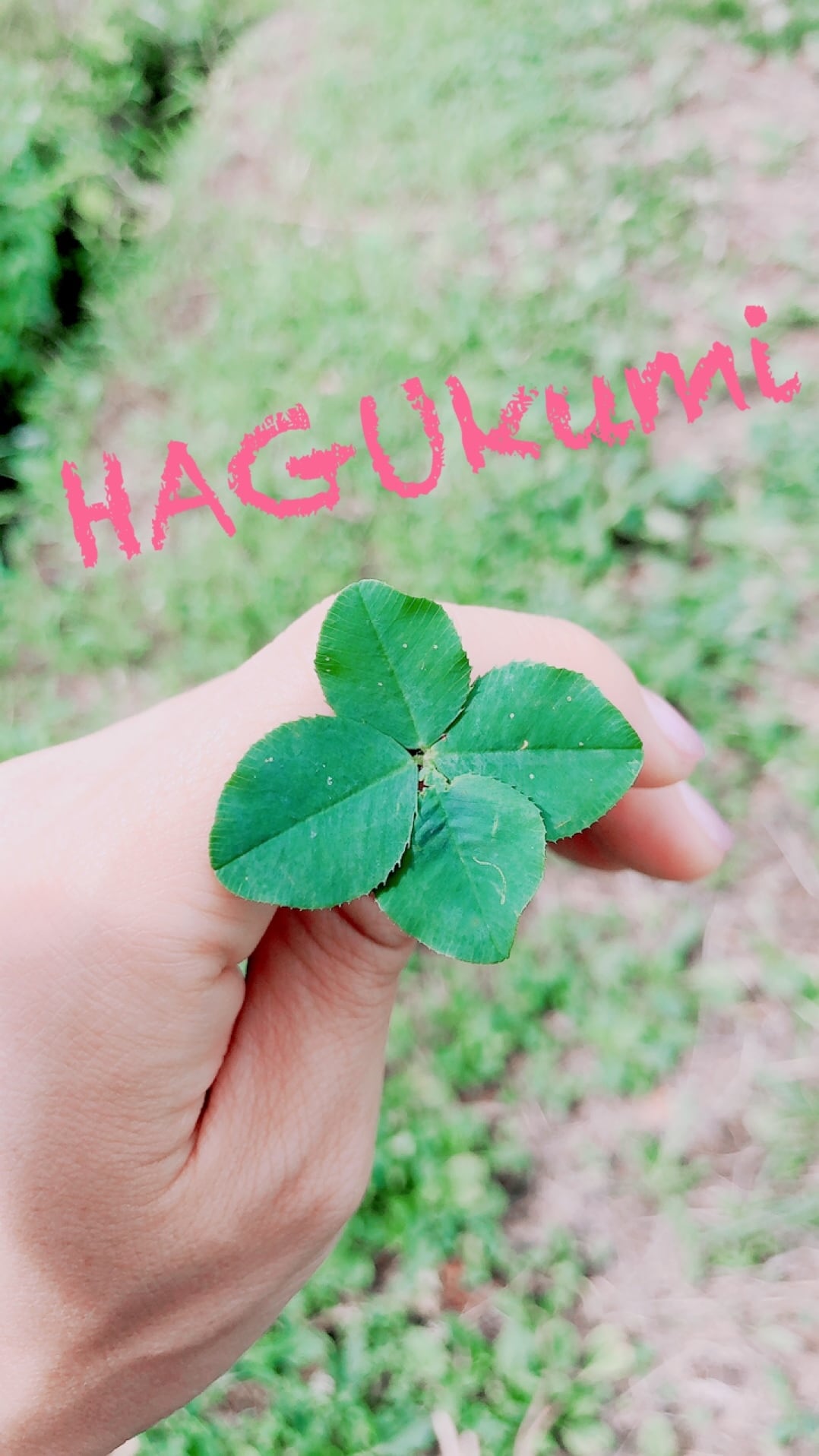 HAGUkumi