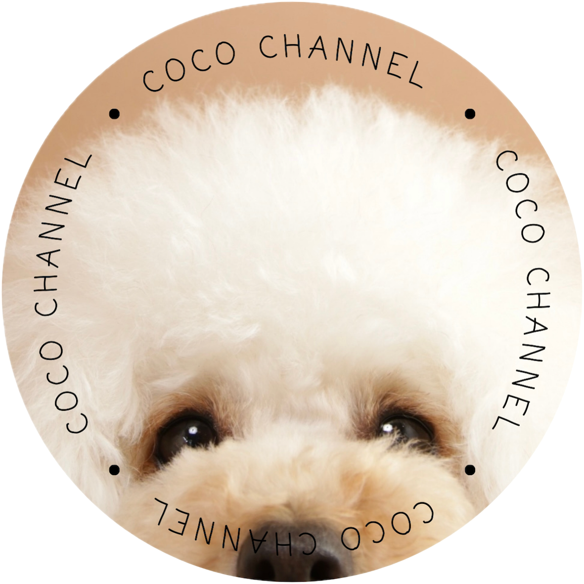 cocochannel
