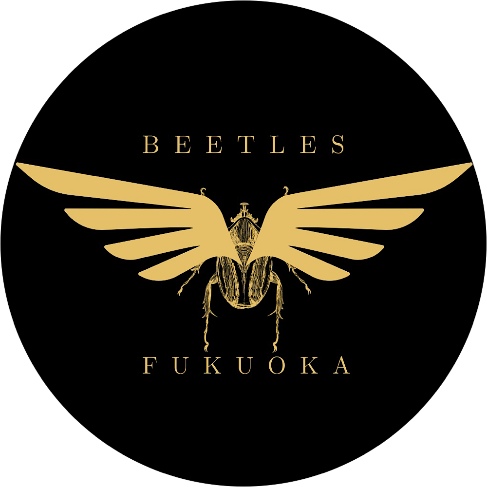Beetles Fukuoka