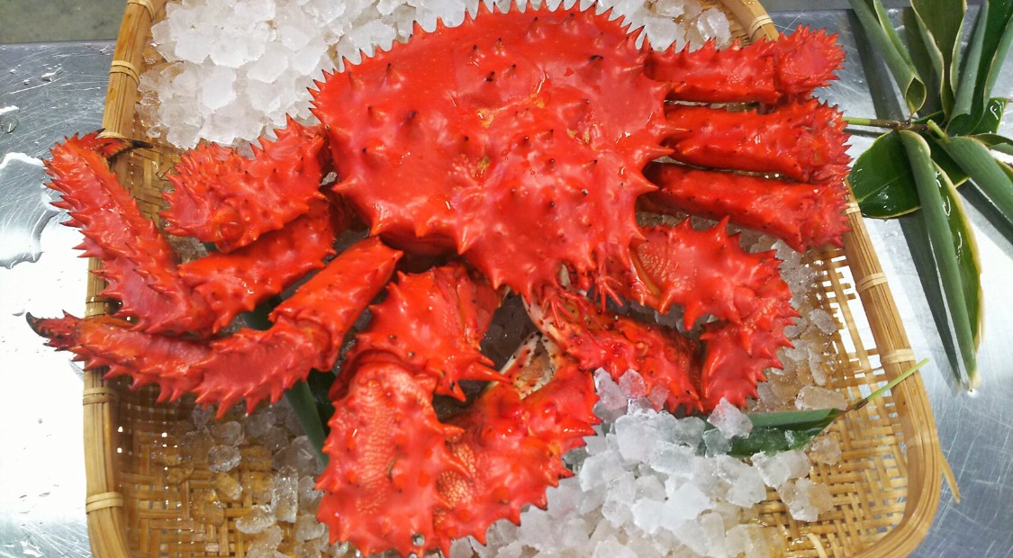 Baseball Agency for Seafoods