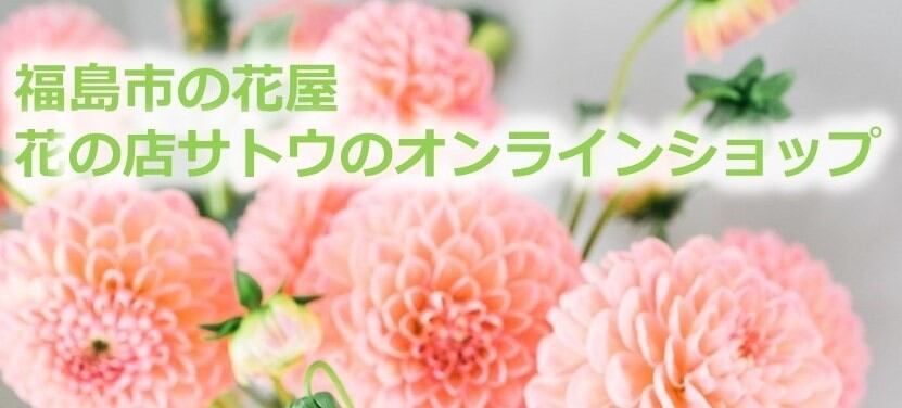 かすみ草のピュアホワイトブーケ | 花の店サトウ オンラインショップ