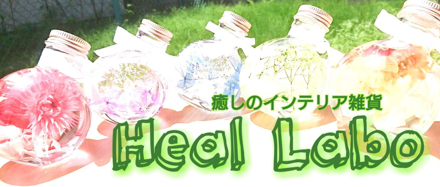 BLOG | Heal Labo