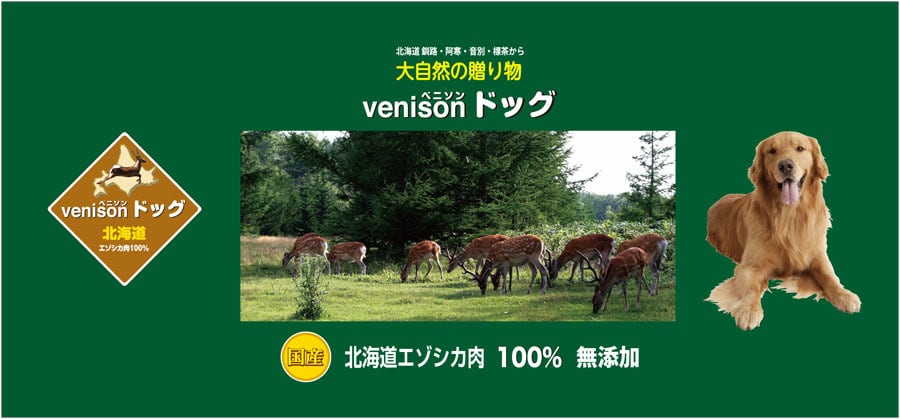 ベニソンドッグ