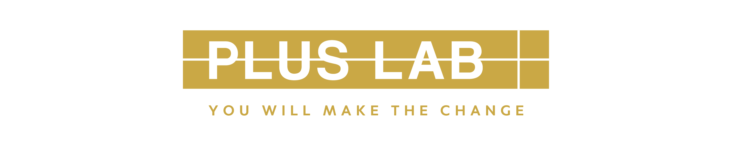 PLUS LAB