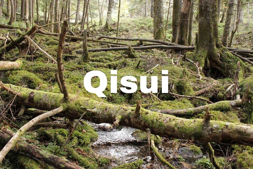 Qisui / キスイ