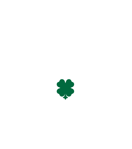 KOGA / GROOOVIE DRUNKER RECORDS WEB SHOP 2nd
