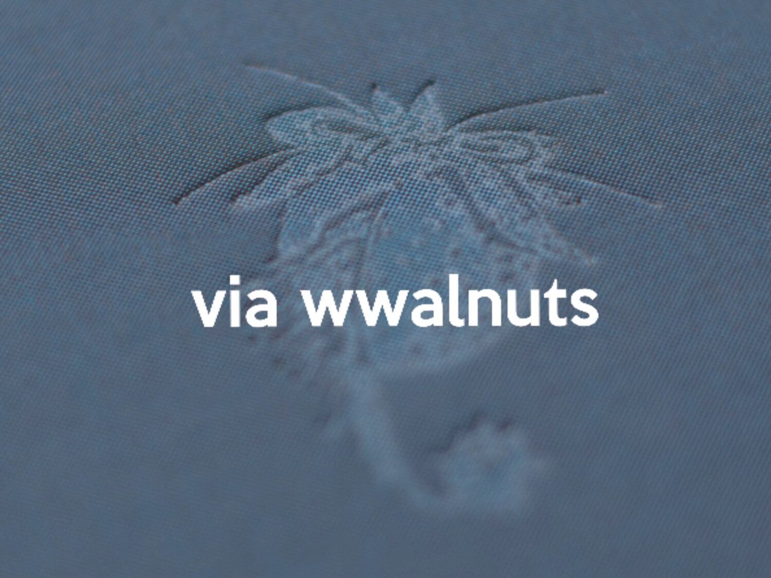 store_via wwalnuts