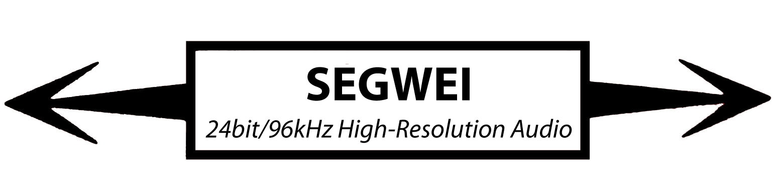 Segwei 24bit/96kHz High-Resolution Audio