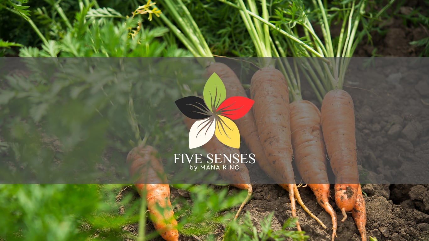 FIVE SENSES by MANA KINO