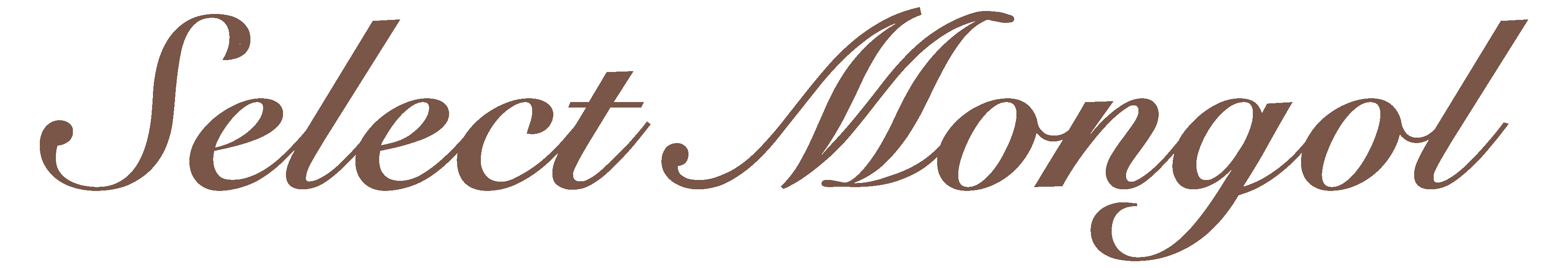 セレクトモンゴル