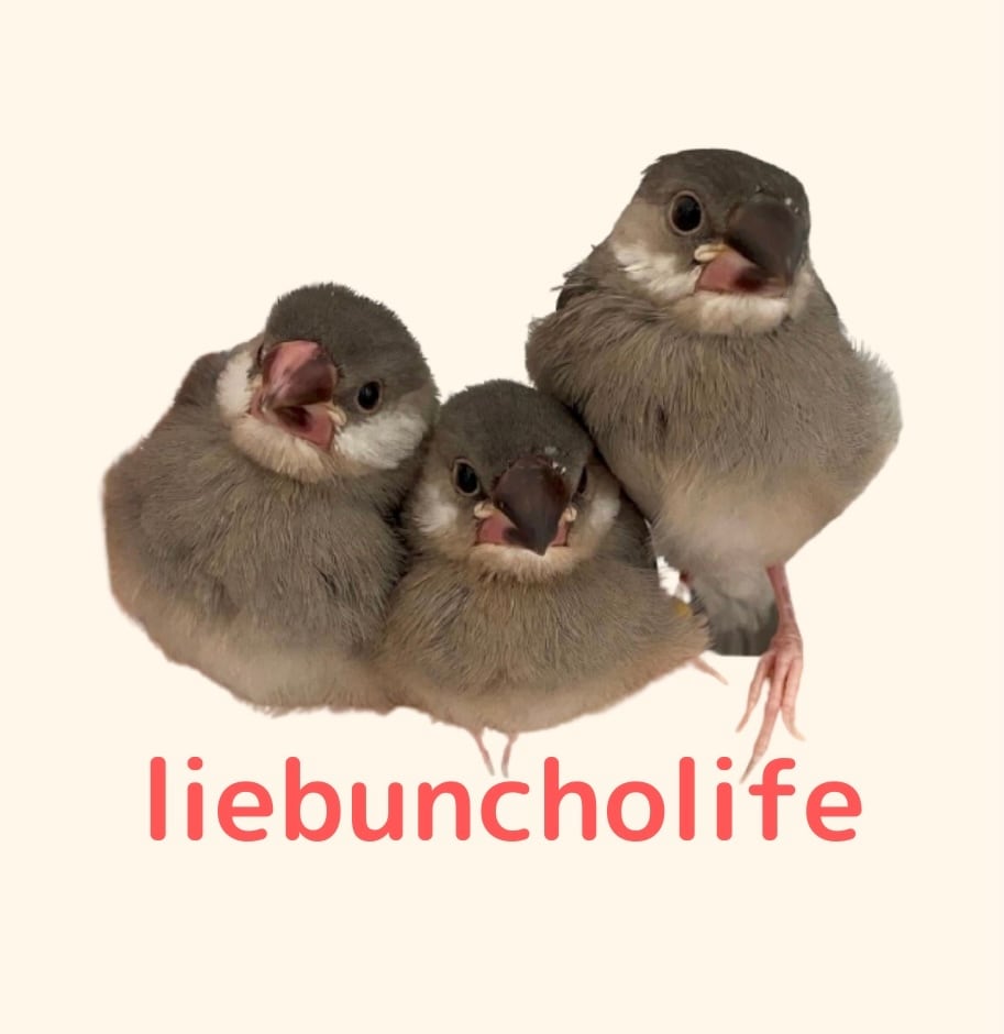 liebuncho