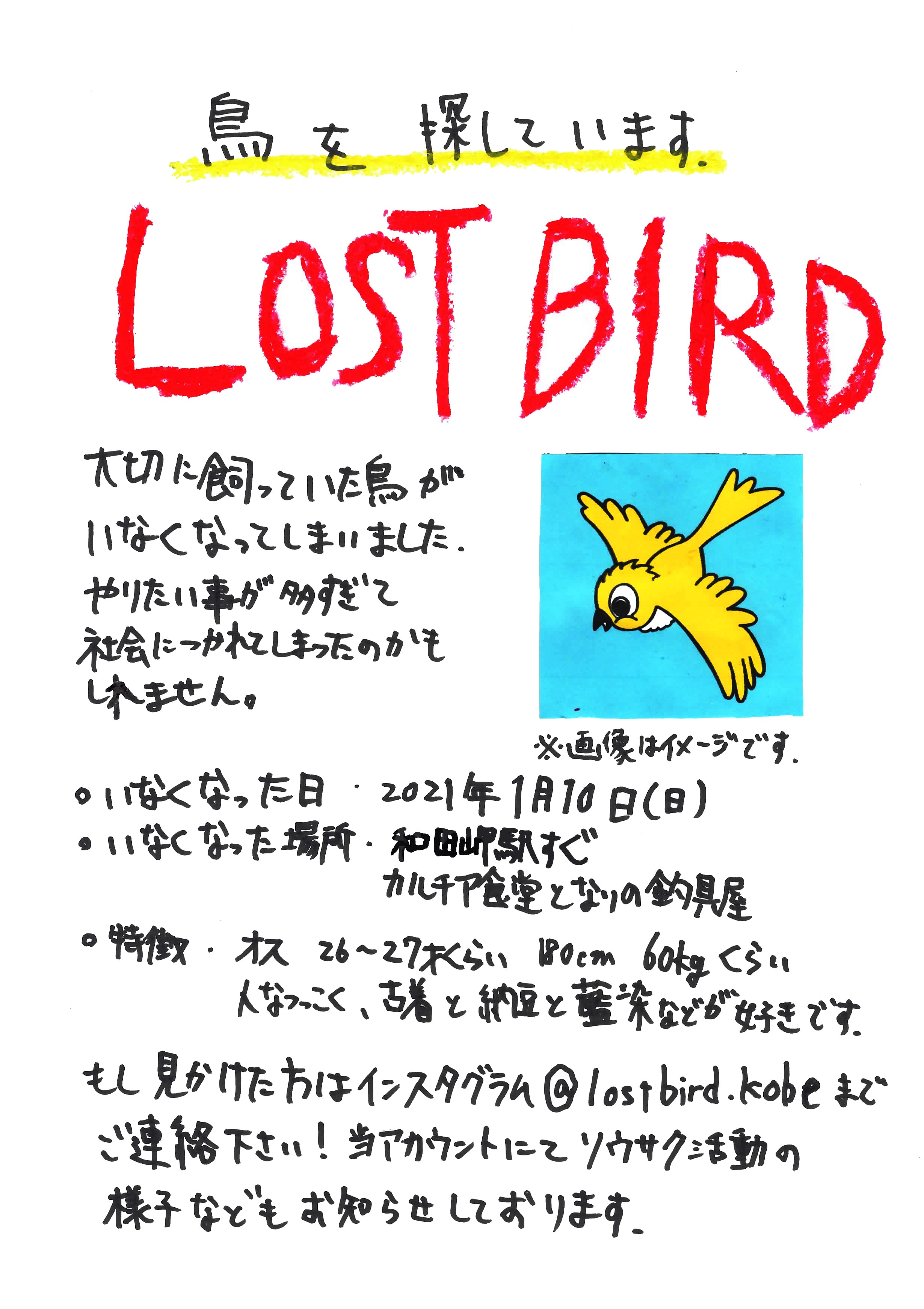 LOST BIRD