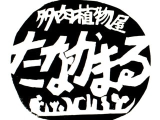 たなかまる〜気まぐれ植物屋　（多肉植物・サボテン・ブロメリア…＆再生工房）