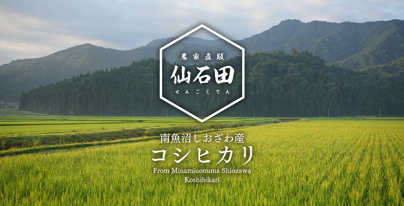 仙石田