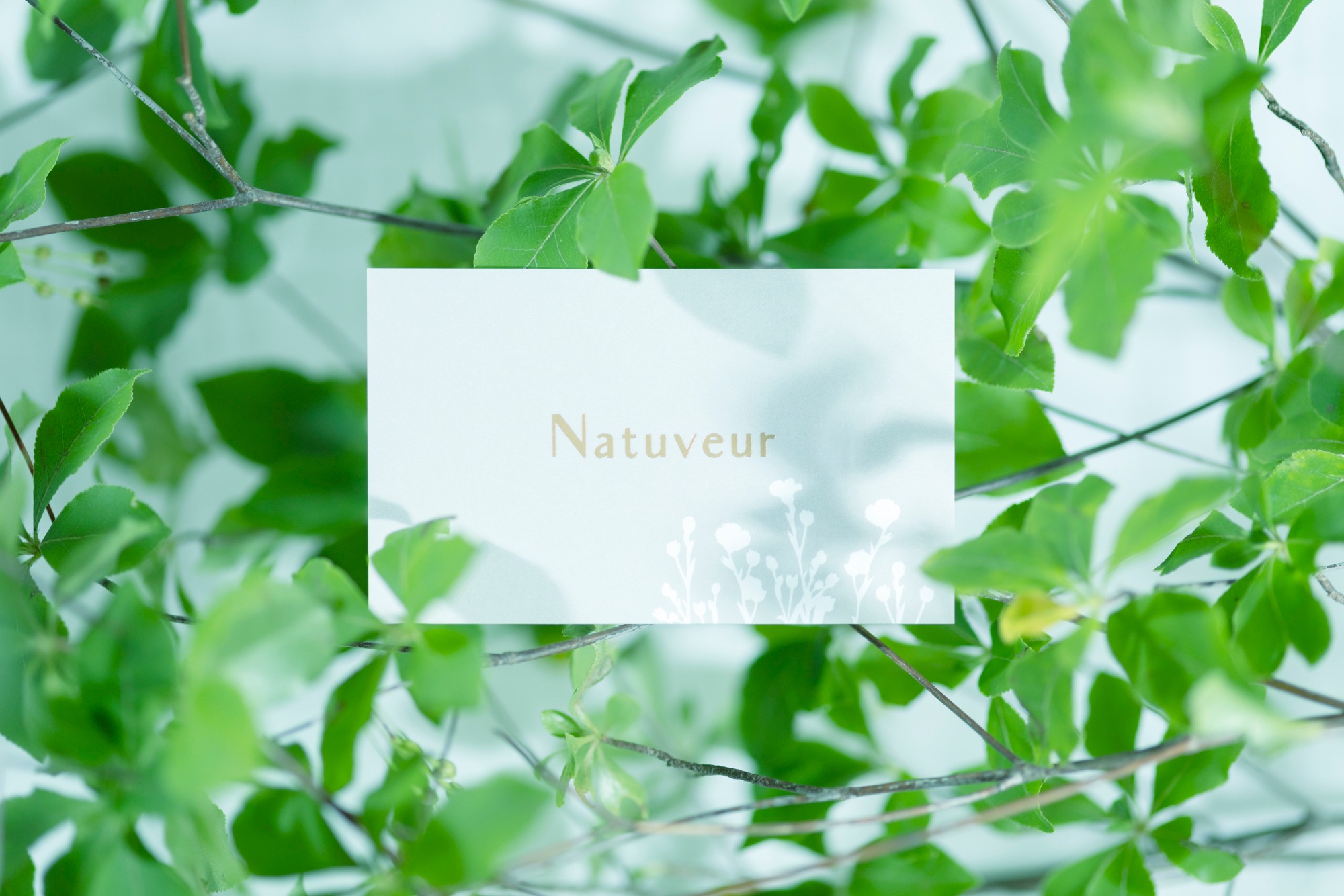 Natuveur