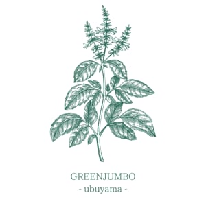 GREENJUMBO