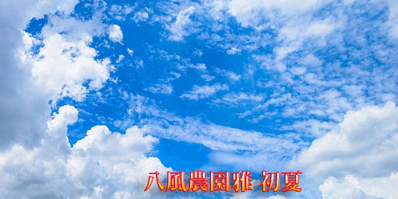 八風農園 雅