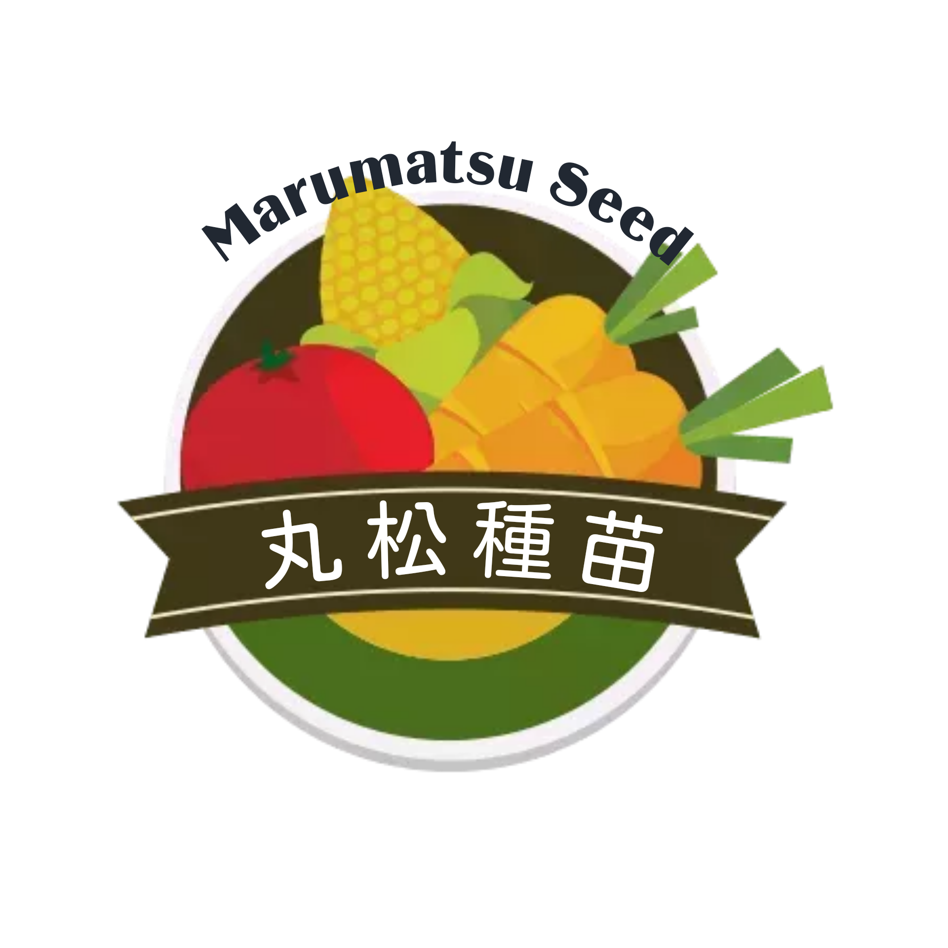 落花生のタネ　　丸松種苗