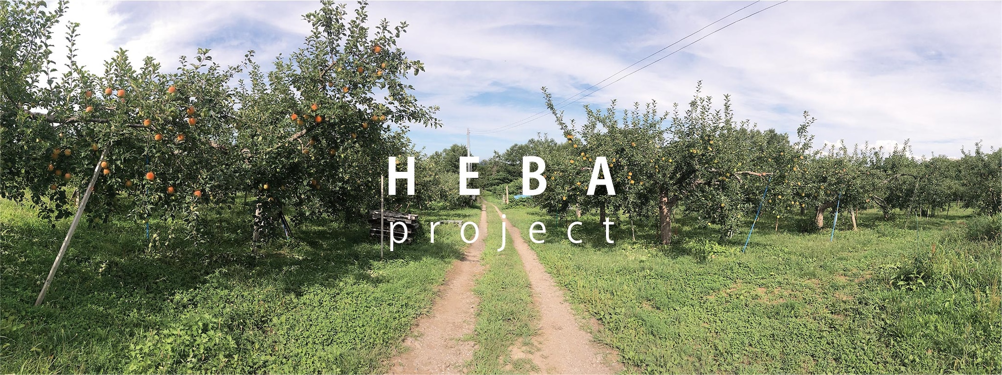 HEBA project