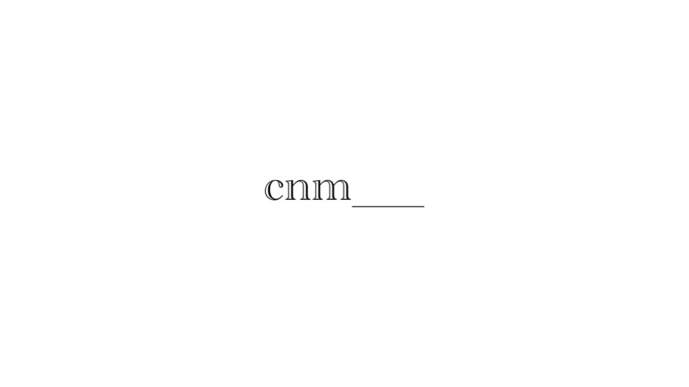 cnm___ ネイルチップ