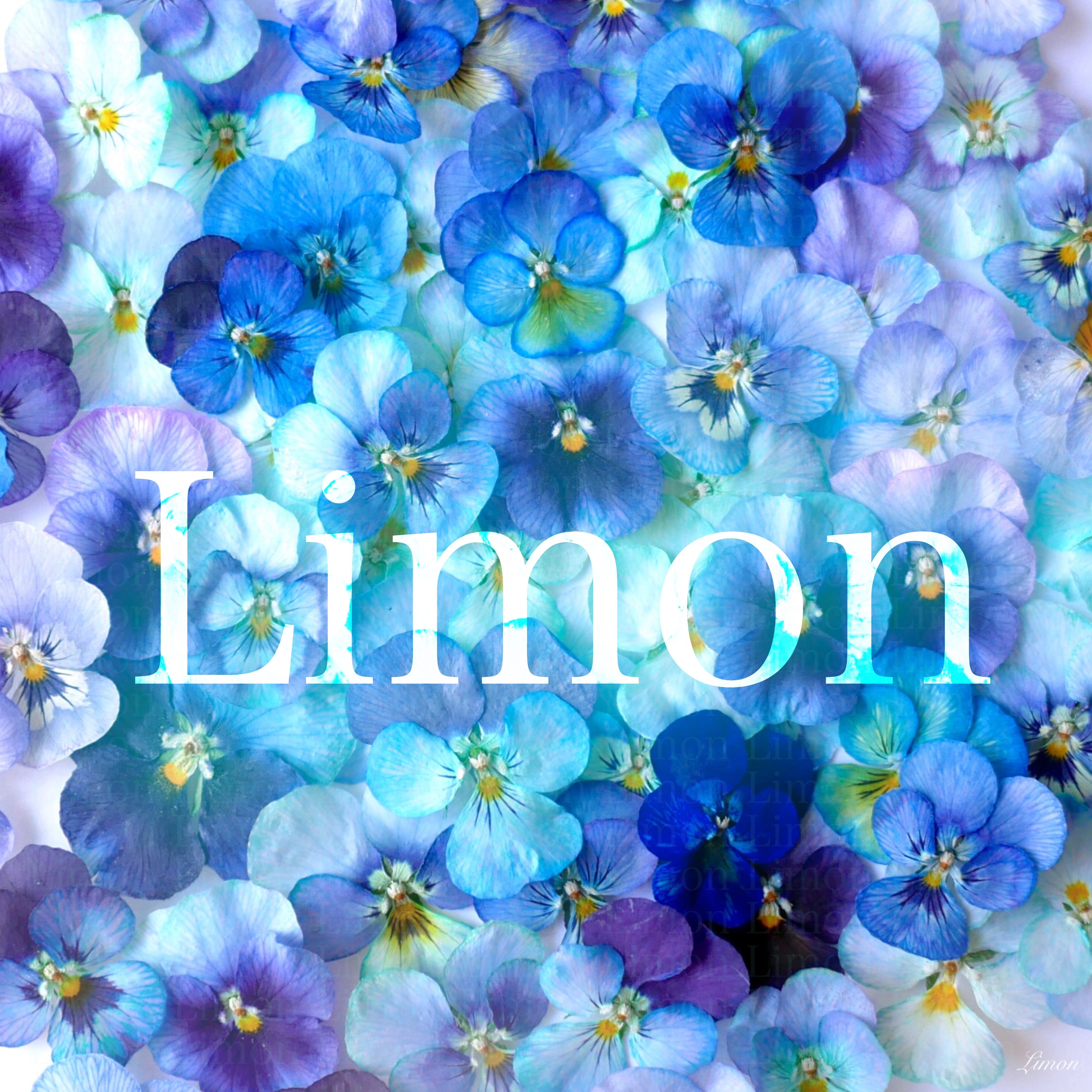 Limon