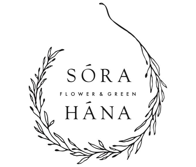 宙花sorahana