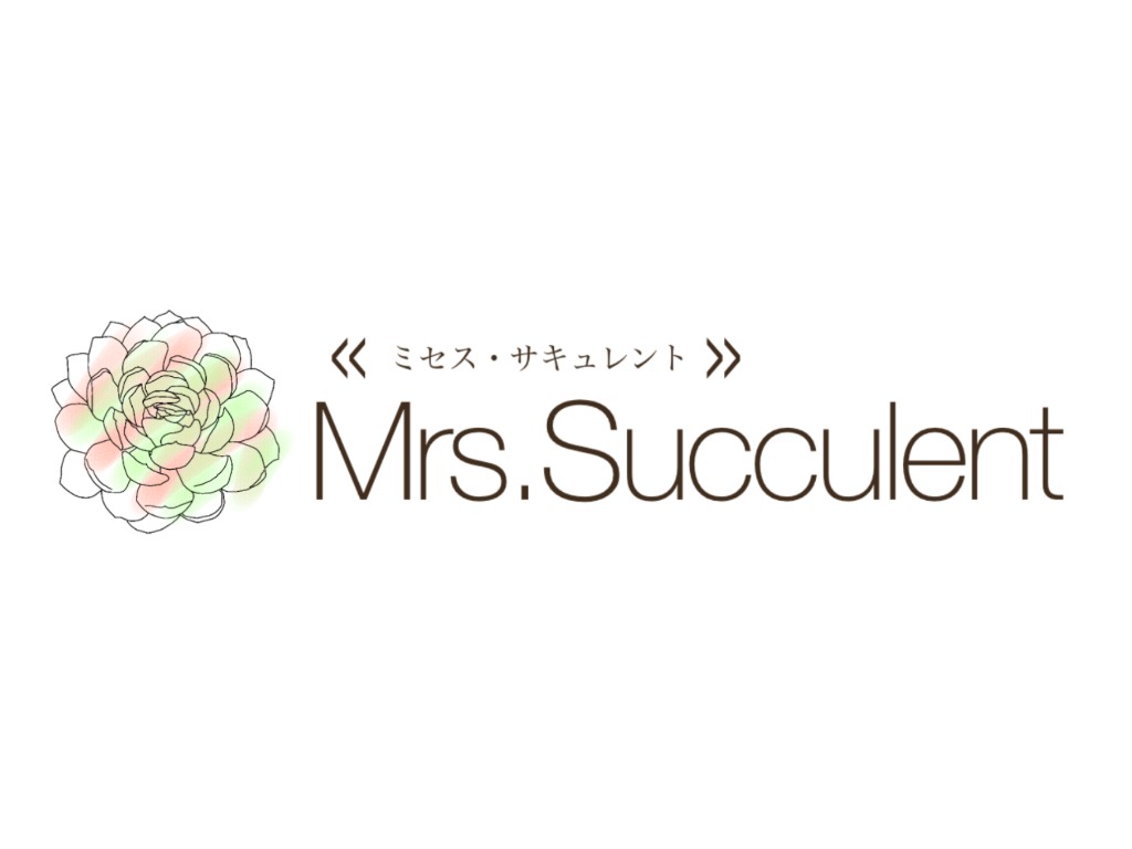 Mrs.Succulent〈ミセス サキュレント〉