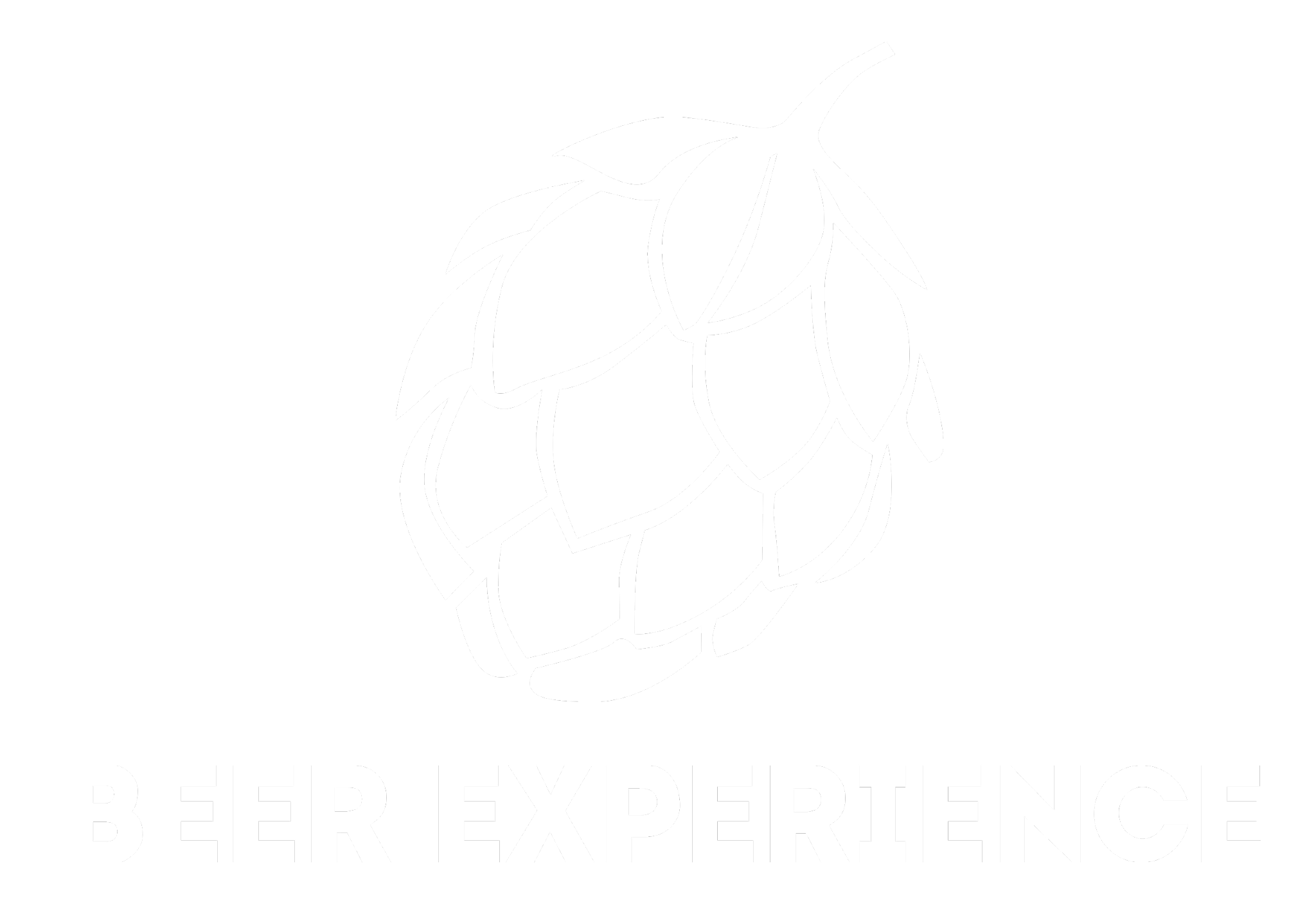 BEER EXPERIENCE