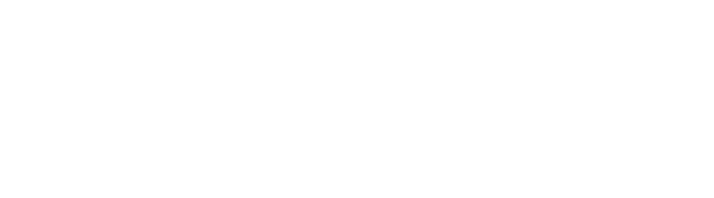 EBRIS