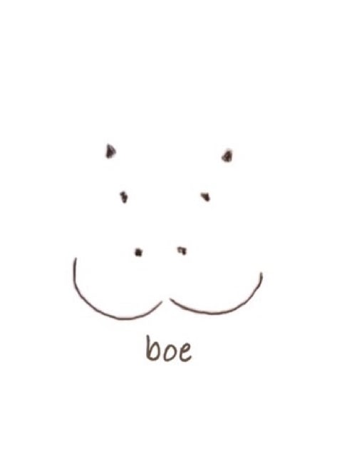 boe