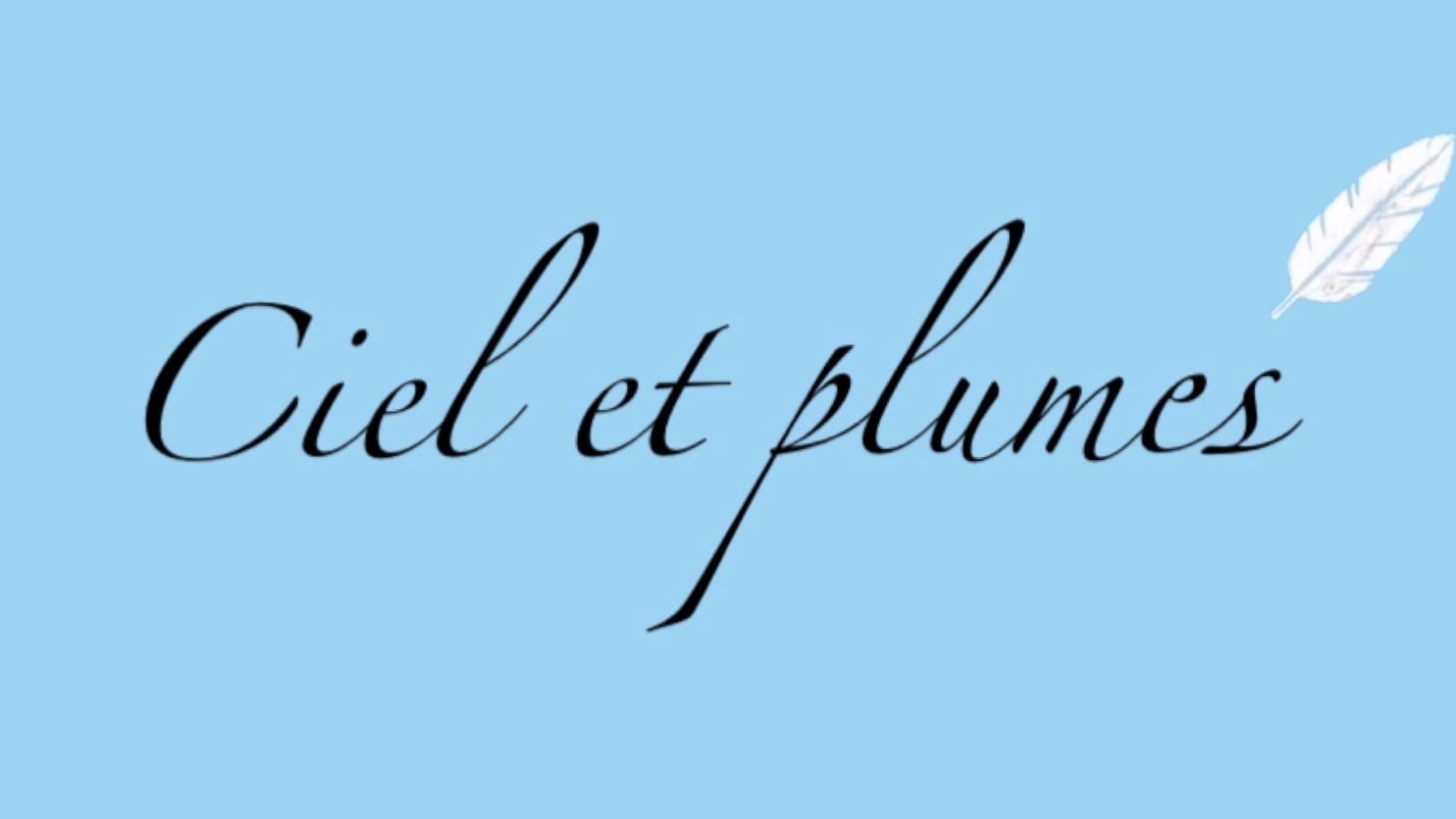 Ciel et plumes