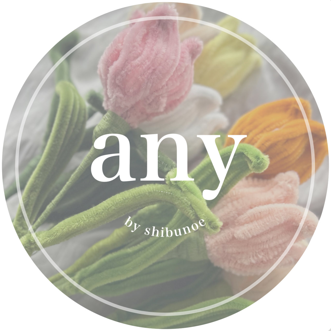 any by shibunoe