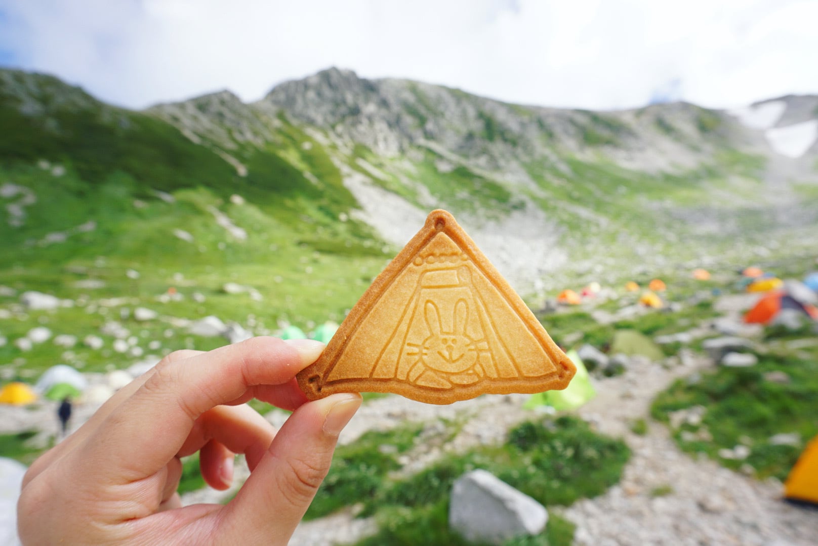お菓子屋山 Tonte
