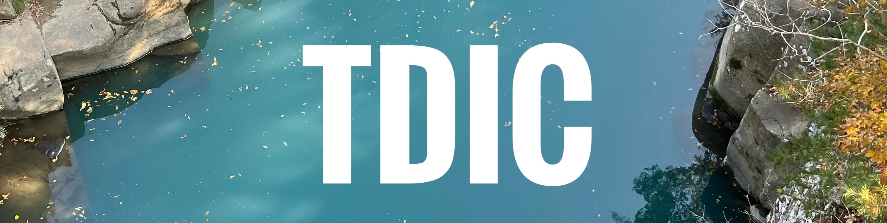 TDIC
